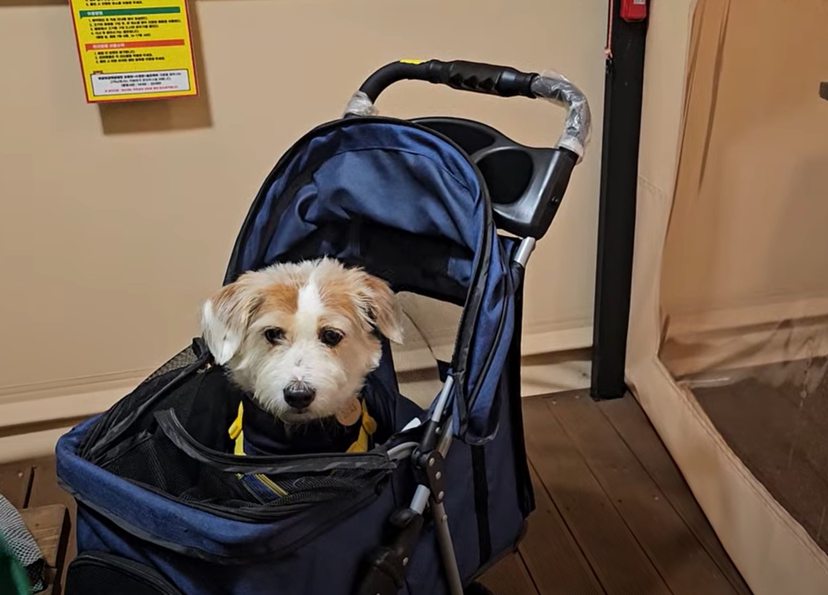 그랜드 바베큐장