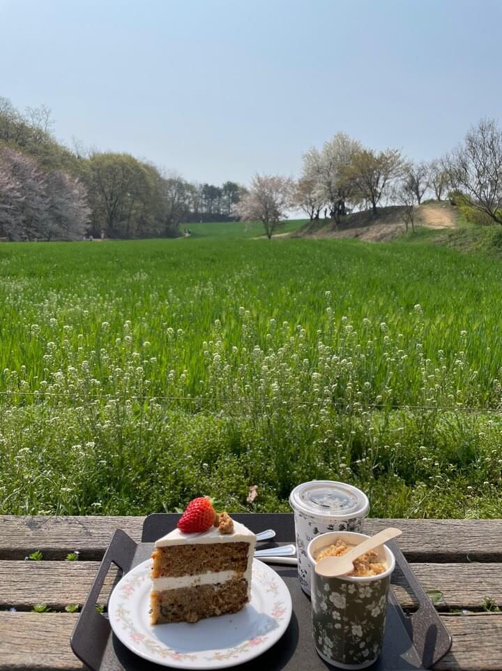 카페-피어라-주문한-커피들과-시그니처-당근-케이크