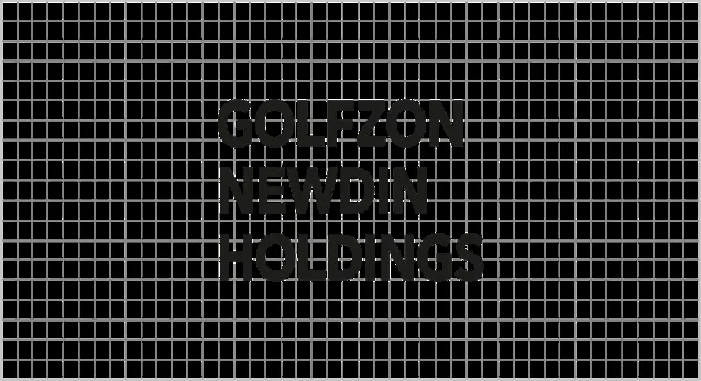 골프존뉴딘홀딩스