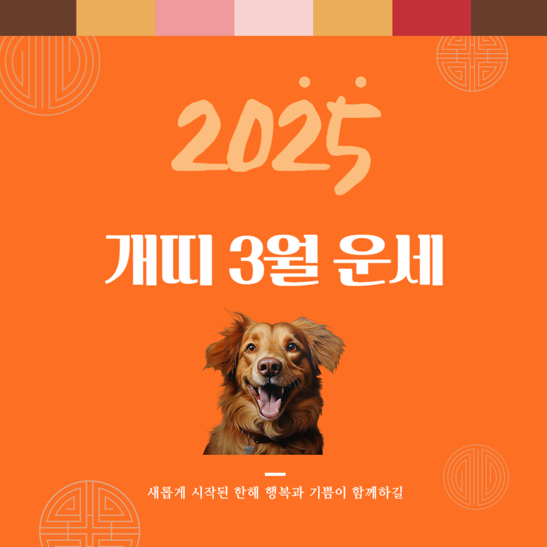2025년 을사년 『개띠』 3월 운세