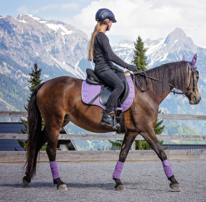 실화 바탕 승마 영화 관련 사진