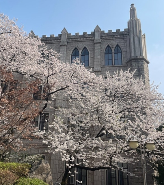 서울 벚꽃 명소 추천 베스트10 여의도 윤중로 석촌호수 서울숲 경희대학교 캠퍼스 남산공원 &amp; 남산도서관 앞 창경궁 양재천 북서울 꿈의숲 안양천 벚꽃길 한성대입구 낙산공원