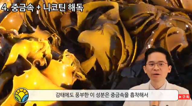 감태 효능과 조리법