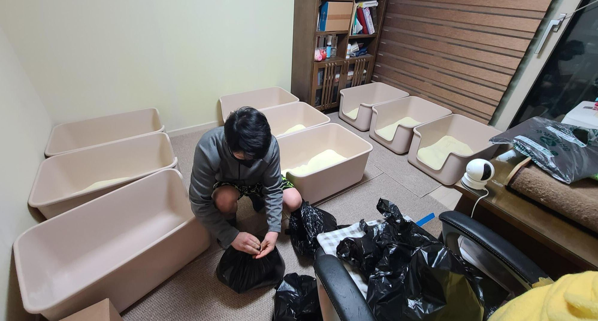 고양이 화장실 모래 전체갈이.