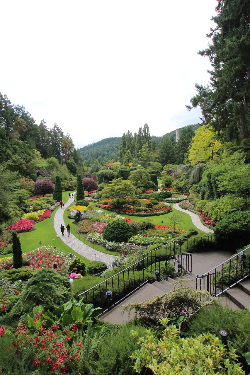 2025년 조경디자이너 전망 관련 이미지