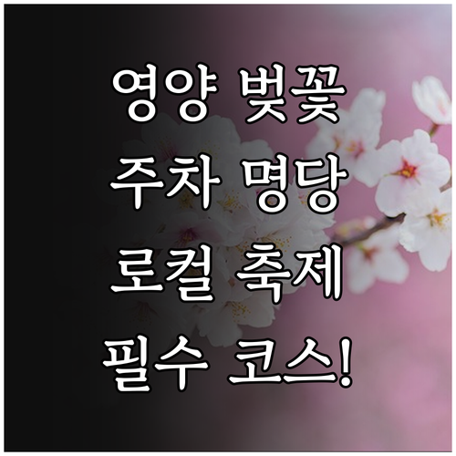 경북 영양 벚꽃 여행 정보 주차장 위..