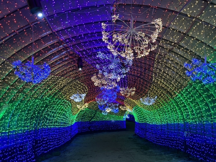 태안 빛 축제