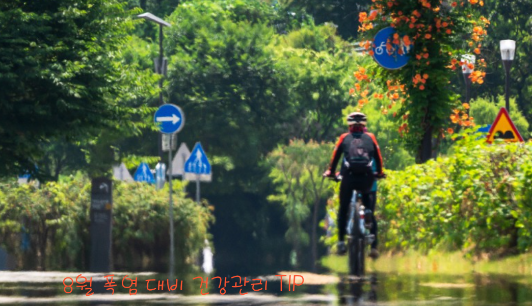 8월 폭염 대비 건강 관리 팁