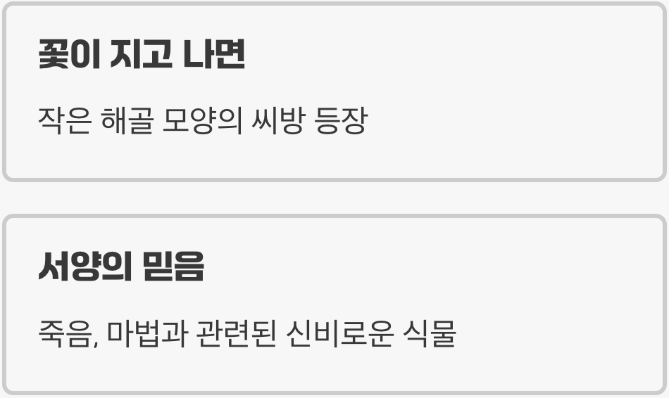 반전 매력, 섬뜩한 '해골' 씨앗