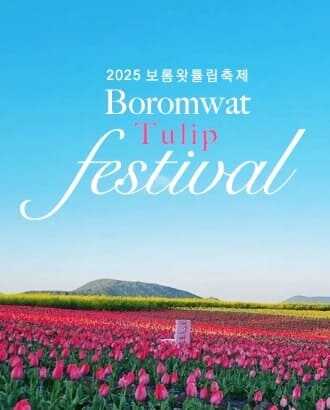 2025 제주 보롬왓 튤립축제