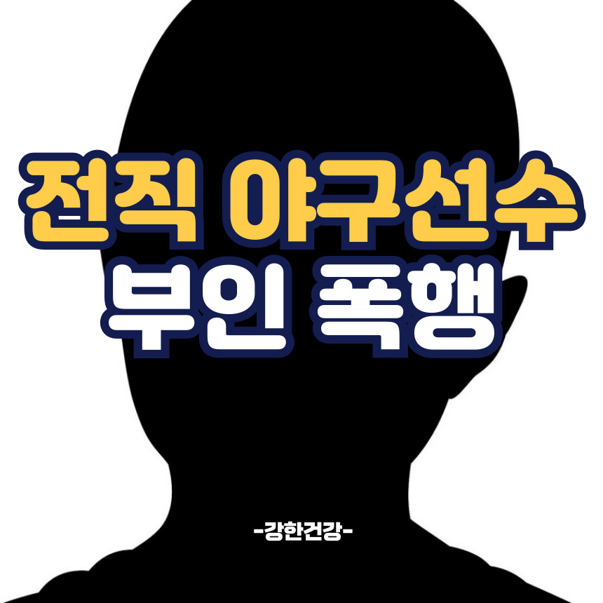 전직 야구선수 아내 폭행