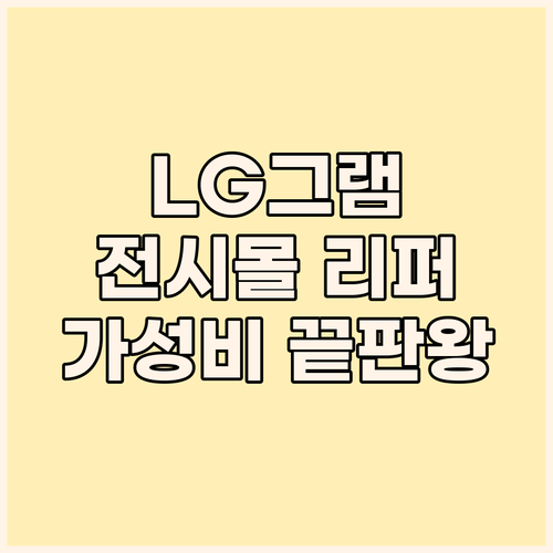 가성비 노트북 끝판왕 LG그램 전시몰..