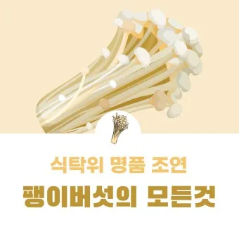 팽이버섯 효능_6