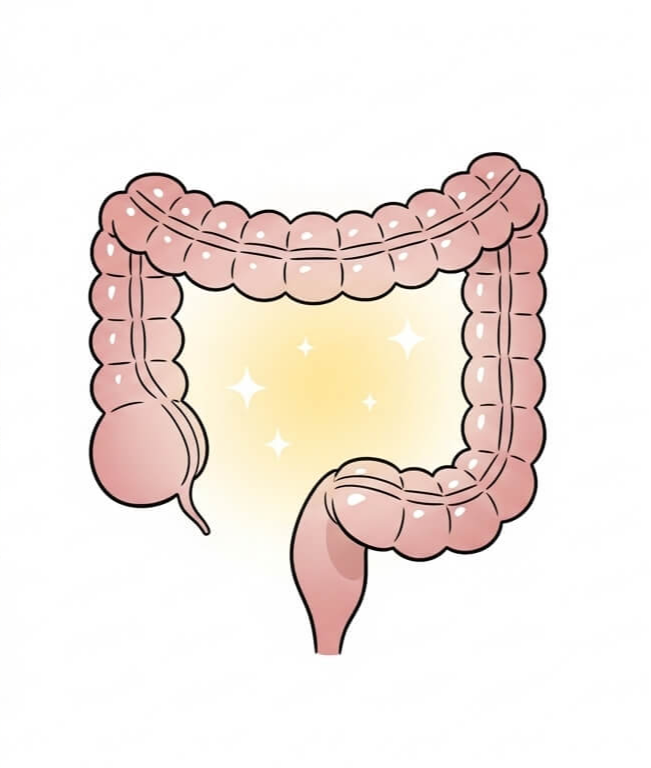 대장암 초기증상&amp;#44; 혈변&middot;설사로 의심해야 할 신호