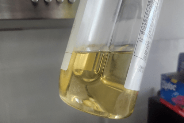 콩기름 효능