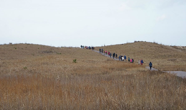 신두리 해안사구