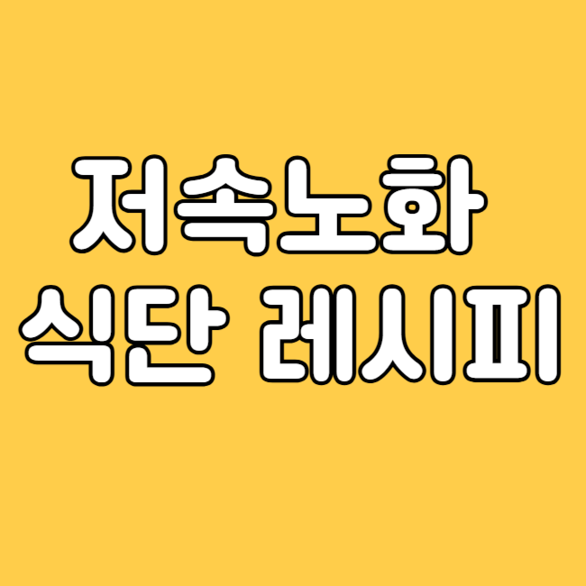 저속노화 식단 도시락 레시피