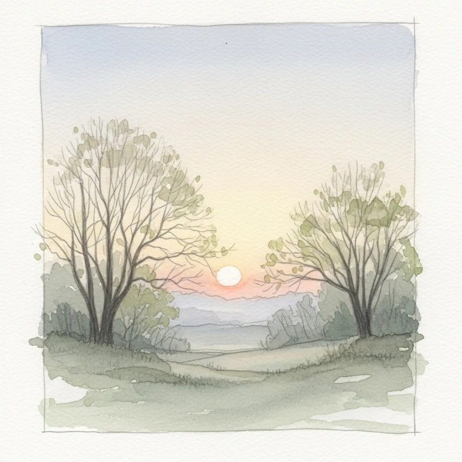 고요한 아침 햇살 속 봄의 기운