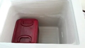 김치냉장고 성에 제거 온도설정과 냄새차단 청결유지 팁_16
