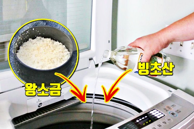 왕소금, 빙초산, 쉰내나는 빨래, 쉰내나는 수건, 쉰내나는옷, 쉰내 없애는 법, 세탁, 팁줌 매일꿀정보