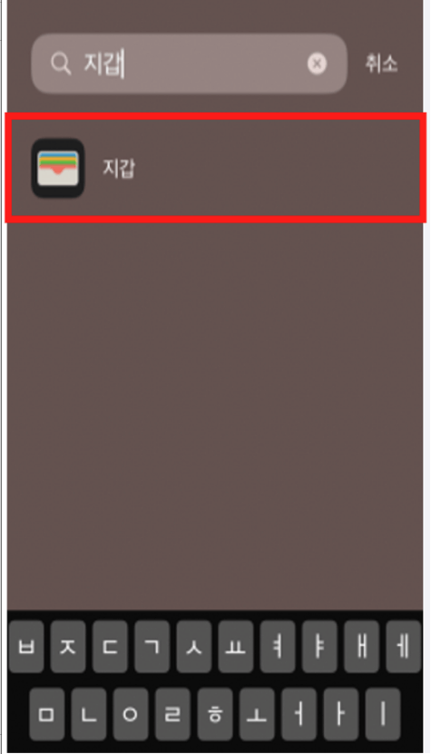 애플페이 출시일