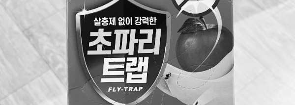 초파리 트랩: 끈끈이