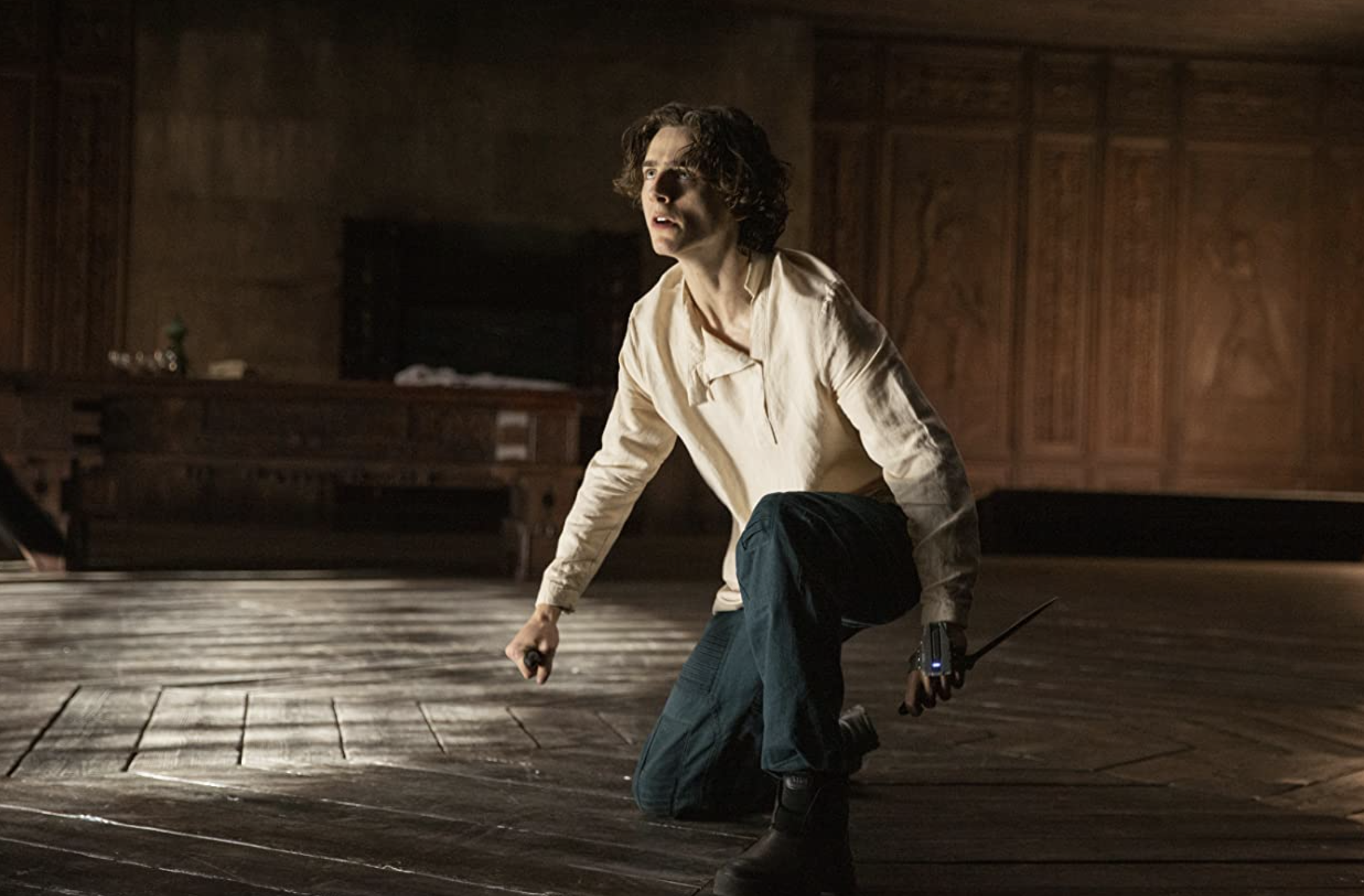 아트레이디스 뜻