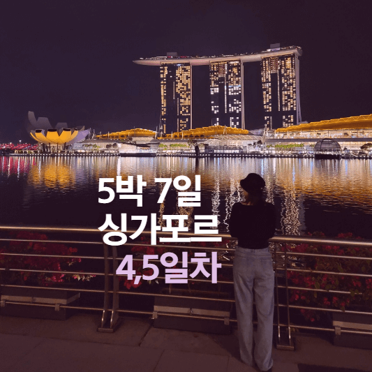 마지막-날-싱가포르-대표-사진