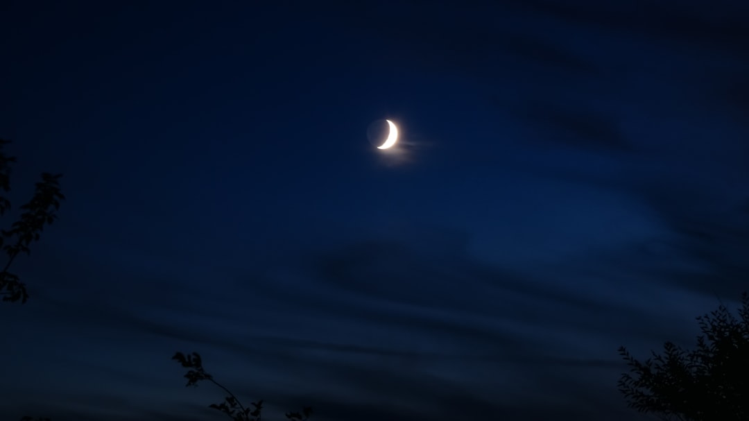 꿈 (dream)