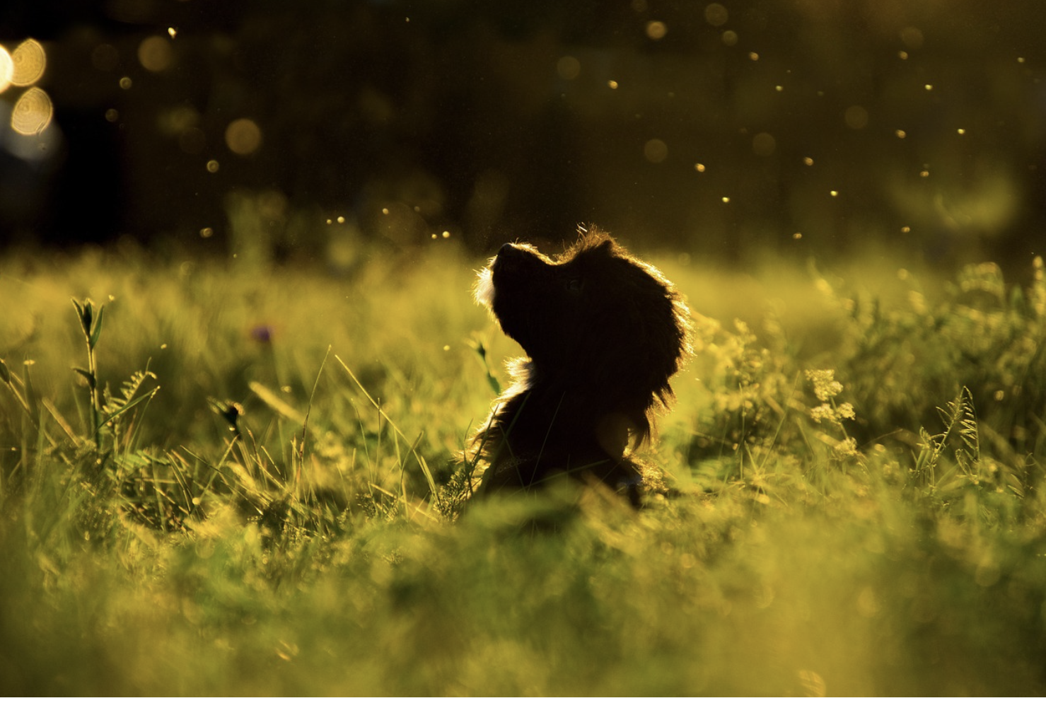 기준시가 부동산과 자산의 세금 산정 기준
