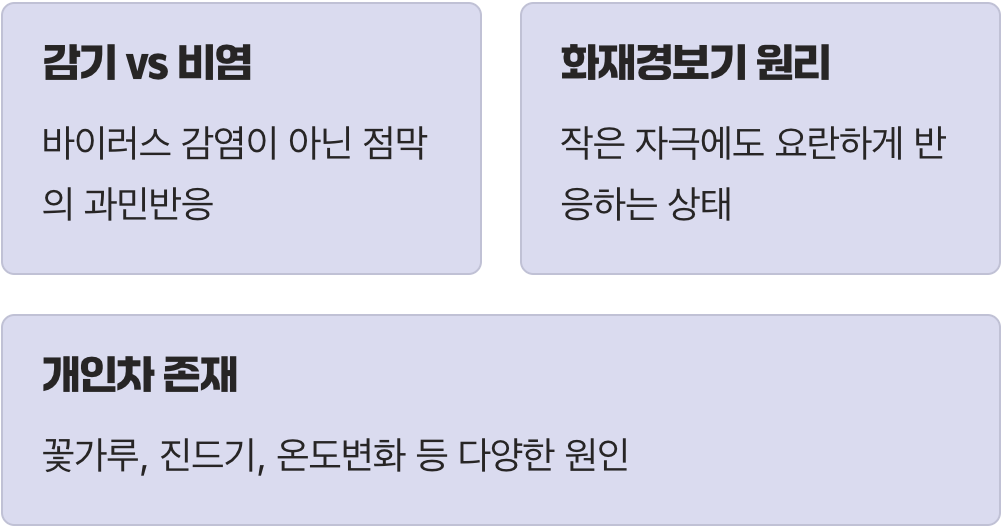 내 코가 너무 예민한 걸까? 비염의 진짜 정체