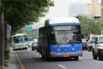 대구 시내버스 첫차시간 노선별 운행정보와 이용 꿀팁_16