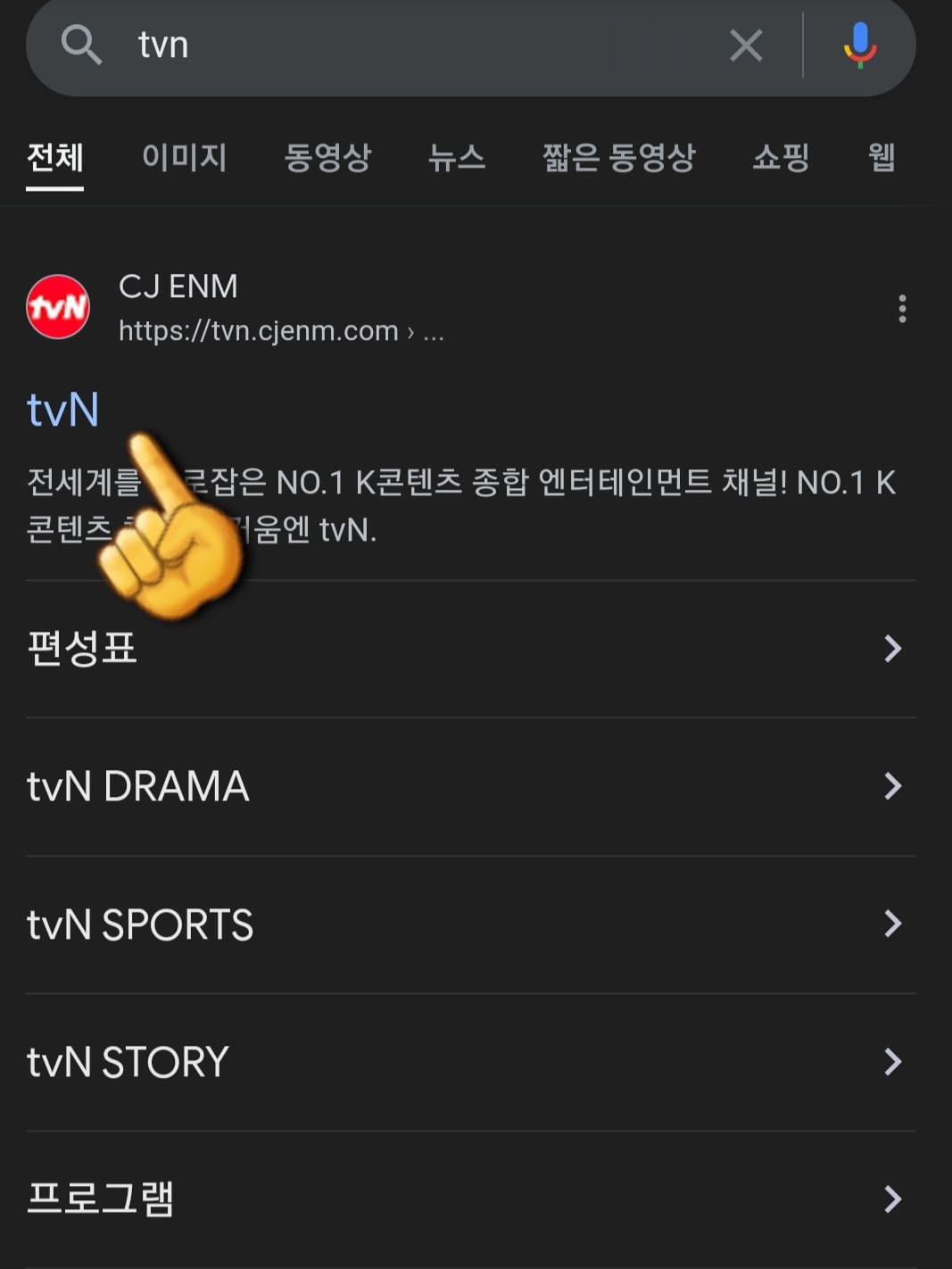 tvN-온에어-쉽게-시청하는-방법-안내-다음,-네이버,-구글-검색-창에서-tvN-검색하기-그리고-가장-상단에-있는-tvN-홈페이지-클릭하기