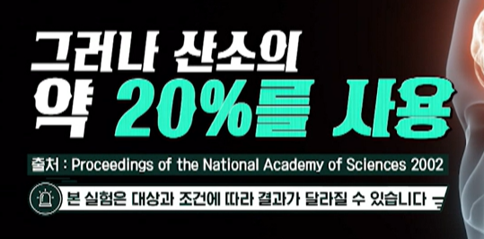 글루타치온 효능