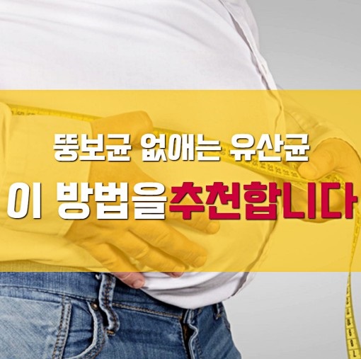 뚱보균 없애는 방법 유산균 추천