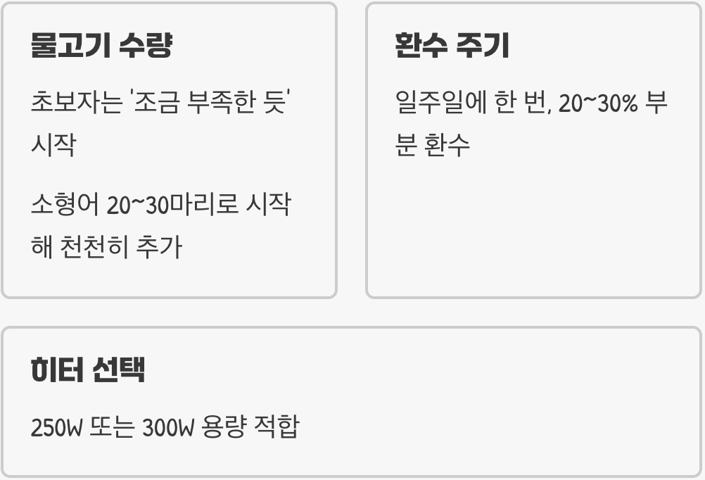 4자 어항 세팅 A to Z (초보자 필독 가이드)