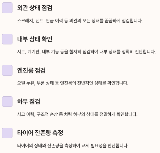 헤이딜러 전문 평가사 진단 항목 정리