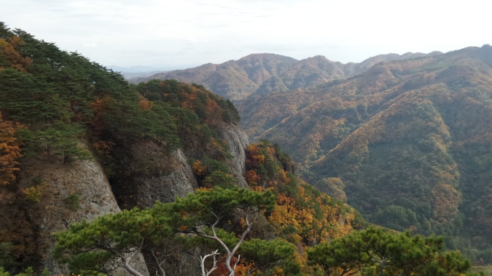100대 명산 등산하기 첫번째 봉화 청량산은 소금강이라 불릴 만큼 아름다운 암봉과 깊은 계곡&amp;#44; 고요한 사찰 청량사가 조화를 이루는 경북 봉화의 대표 명산 