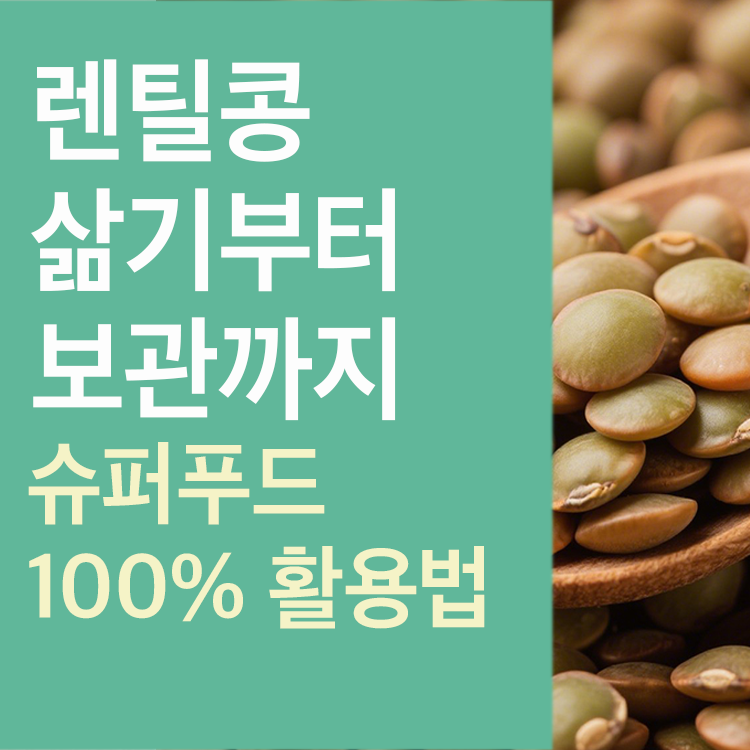 렌틸콩 삶기부터 보관까지