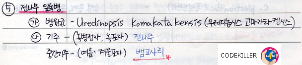 전나무 잎녹병
