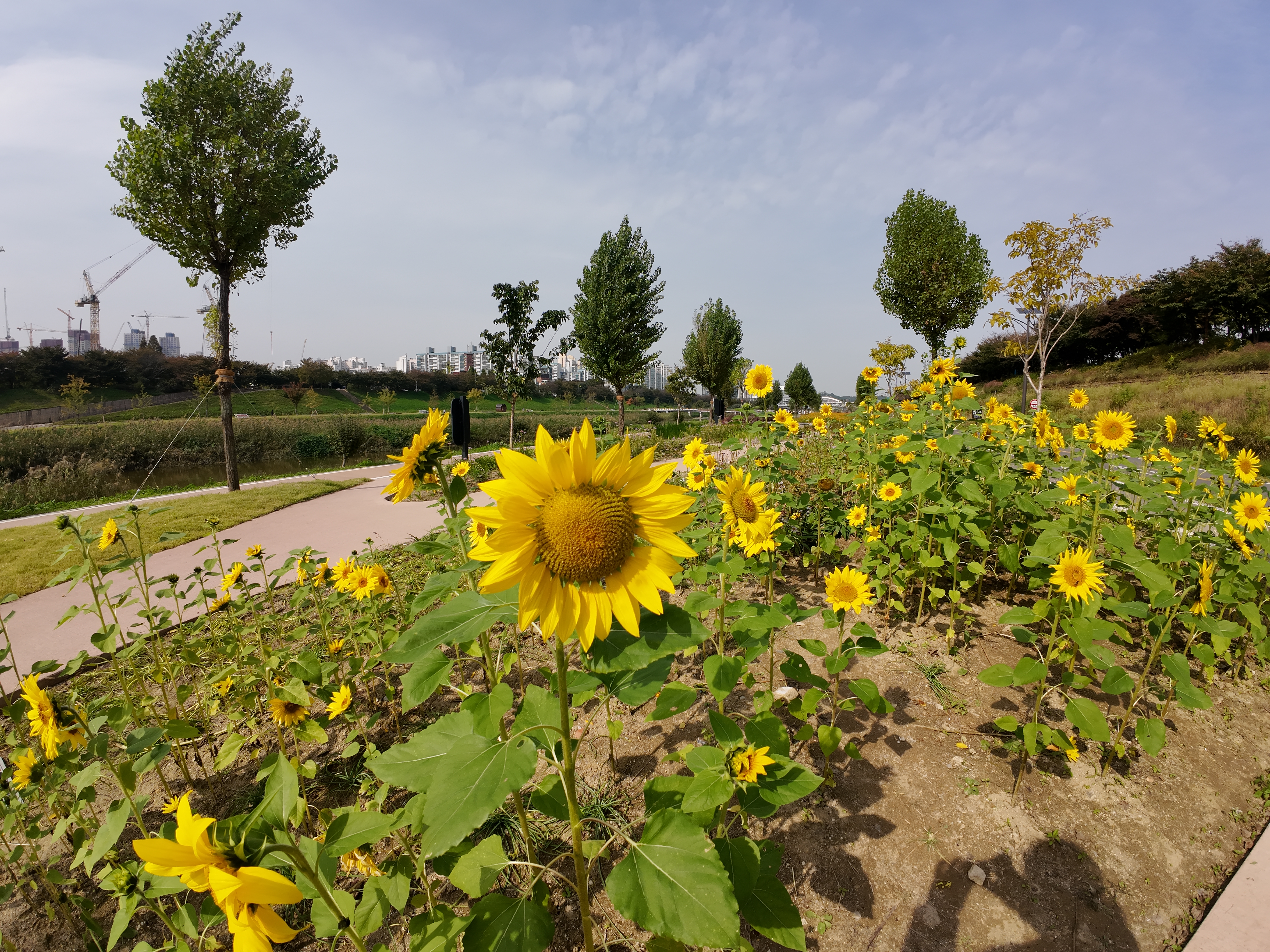 Alt 속성 문제 해결 설명 이미지