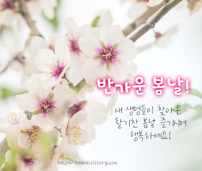 봄맞이-인사말