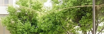 따뜻한 베이지 톤의 미니멀한 실내 공간과 통유리창 너머 푸른 정원이 조화를 이루는 브랜드 플래그십 스토어의 전경입니다. 원목 테이블 위의 커피 한 잔과 세련된 계단 구조가 여유롭고 지적인 라이프스타일의 분위기를 자아냅니다.