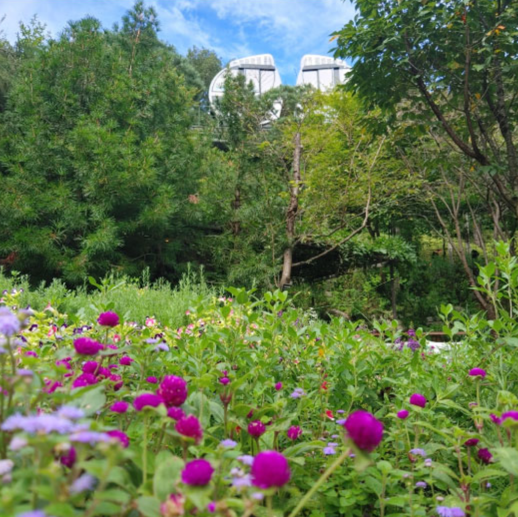 화담숲 예약하기