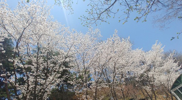 미리내 힐빙 클럽