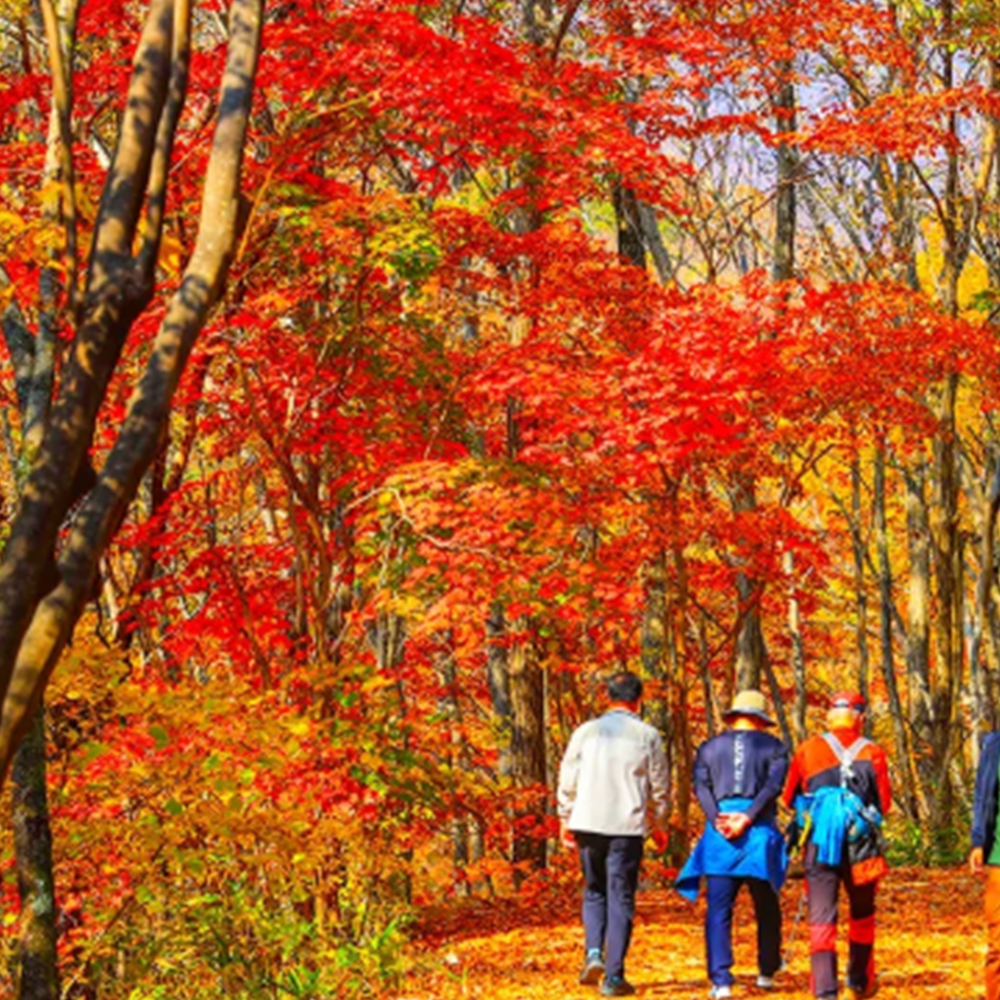 지리산 단풍 절정시기