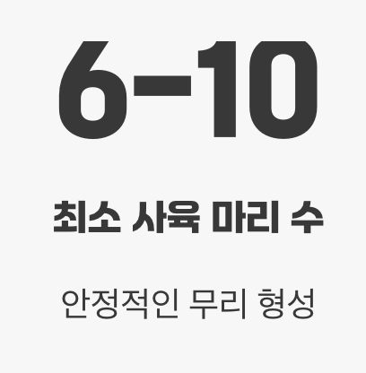 실수 2. '한두 마리'만 외롭게 키우는 것