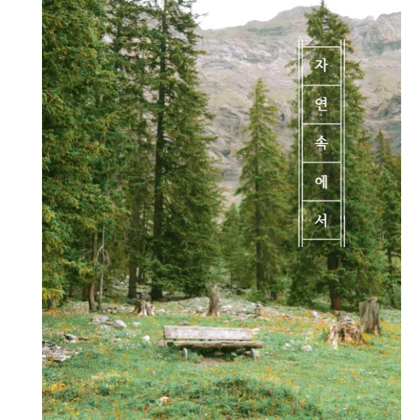 산청 한방약초축제