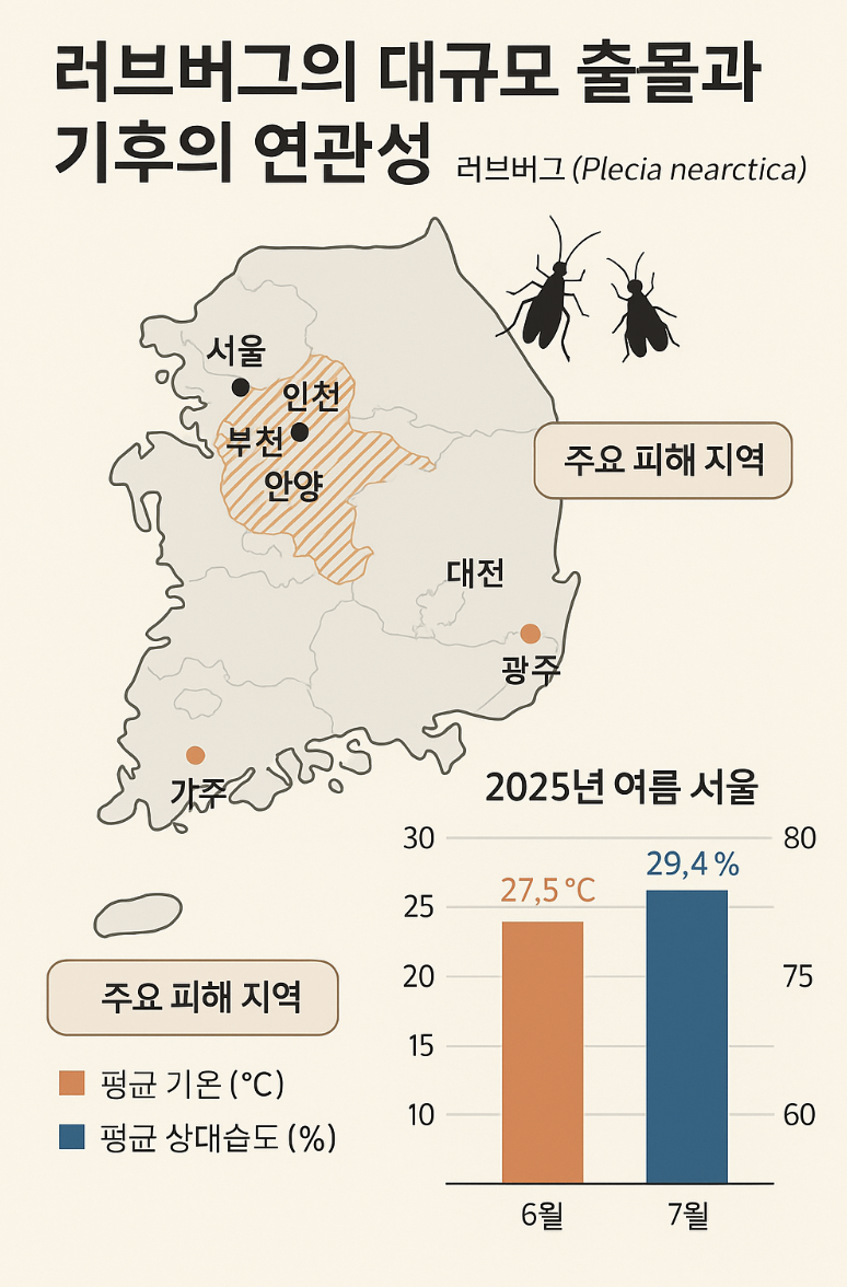 기후변화가 부른 러브버그의 습격: 도시를 뒤덮은 검은 벌레 떼의 정체