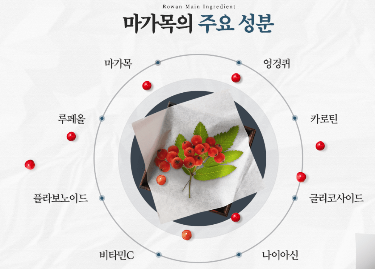 마가보감 가격